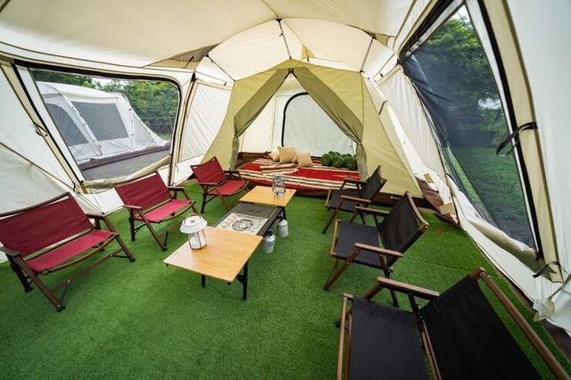 스테이 골드 제공