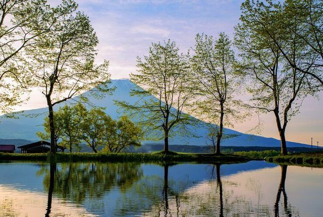 후모톳바라 제공