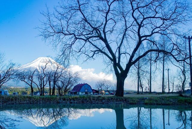 후모톳바라 제공