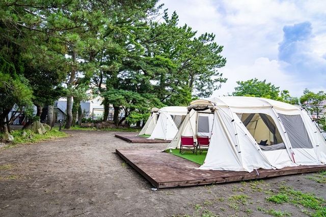 스테이 골드 제공