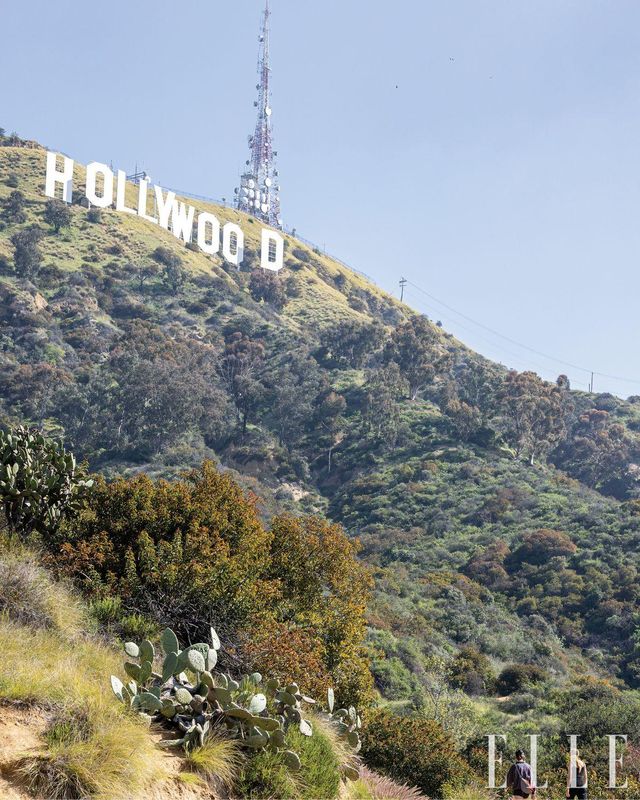 가이드와 함께한 할리우드 사인 하이킹. 