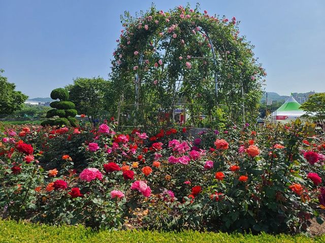 지난 행사 사진 