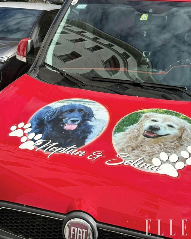 비엔나 사람들의 강아지 사랑은 엄청나다. 대부분의 가게가 반려견 동반이 가능하니 어디서든 귀여움과 마주칠 각오를 할 것. 