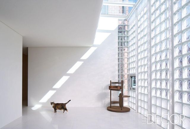 30년 전에 지어진 집을 레너베이션한 ‘뮤즈 글라스 하우스(Mews Glass House)’ 내부.