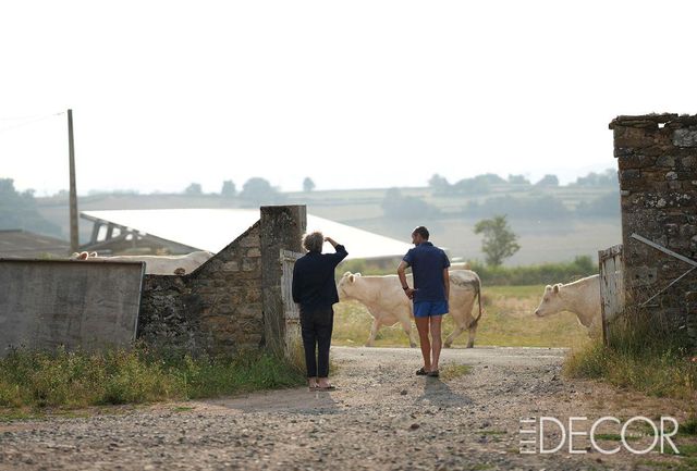 부르고뉴에는 와이너리를 운영하거나 농업에 종사하는 사람들의 삶이 고스란히 남아 있다. 에르완 부홀렉의 집 앞으로 지나는 소 떼는 그가 좋아하는 풍경 중 하나다. 