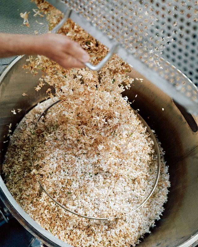 오전에 갓 수확한 쟈스민을 큼지막한 통에 담고 용매제를 부어 향을 추출하는 과정. 