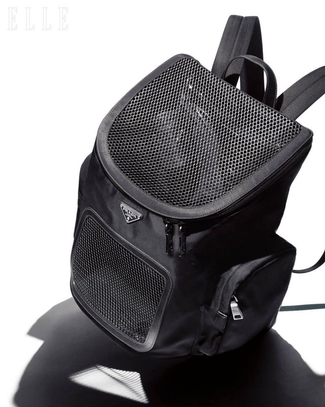 리나일론 펫 백팩은 가격 미정, Prada.