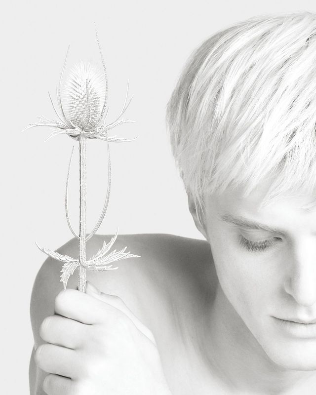  ‘Composition N°5’의 장수풍뎅이 브로치. 