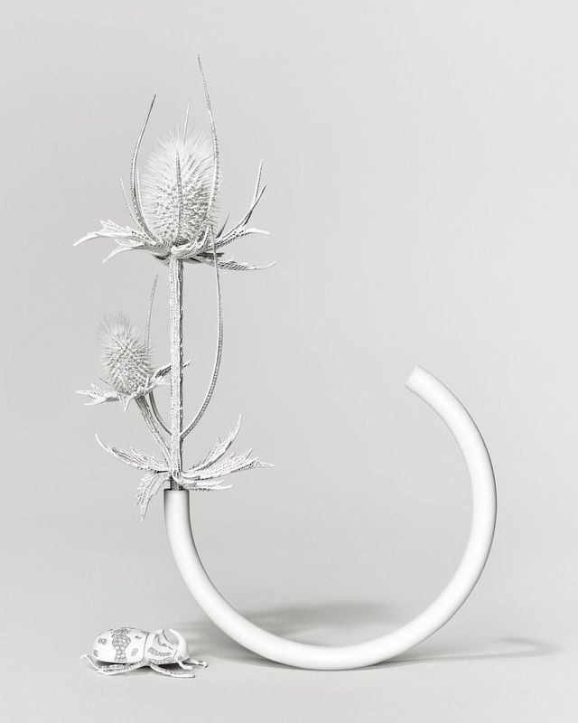  ‘Composition N°5’의 엉겅퀴.