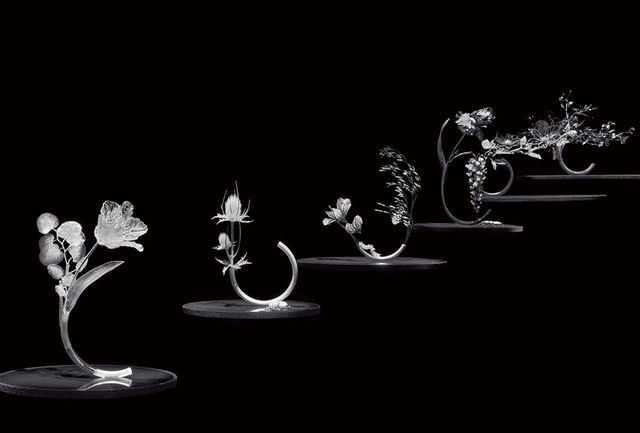 왼쪽부터 ‘임퍼머넌스’ 컬렉션 ‘Composition N°6’ 튤립과 유칼립투스. ‘Composition N°5’ 엉겅퀴와 장수풍뎅이. ‘Composition N°4’ 시클라멘과 귀리, 애벌레, 나비. ‘Composition N°3’ 아이리스, 위스테리아, 사슴벌레. ‘Composition N°2’ 목련과 스틱버그, ‘Composition N°1’ 양귀비와 스위트피, 나비.