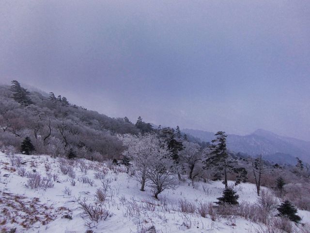 지리산 천왕봉