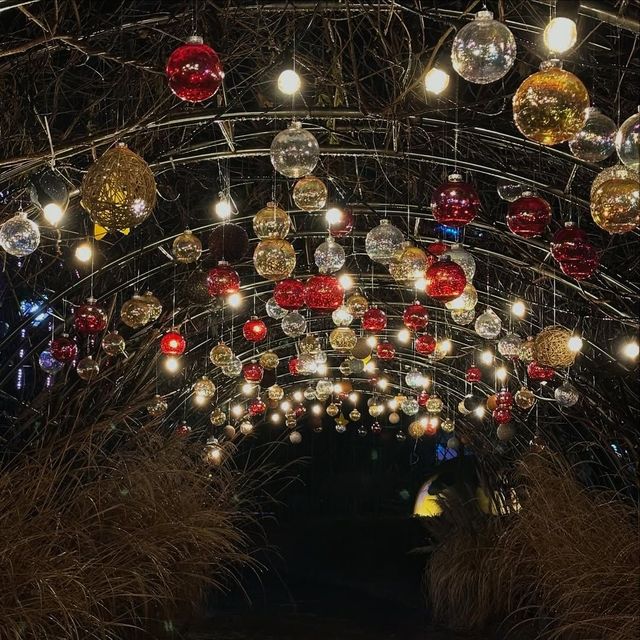 2025 함평 겨울빛축제 