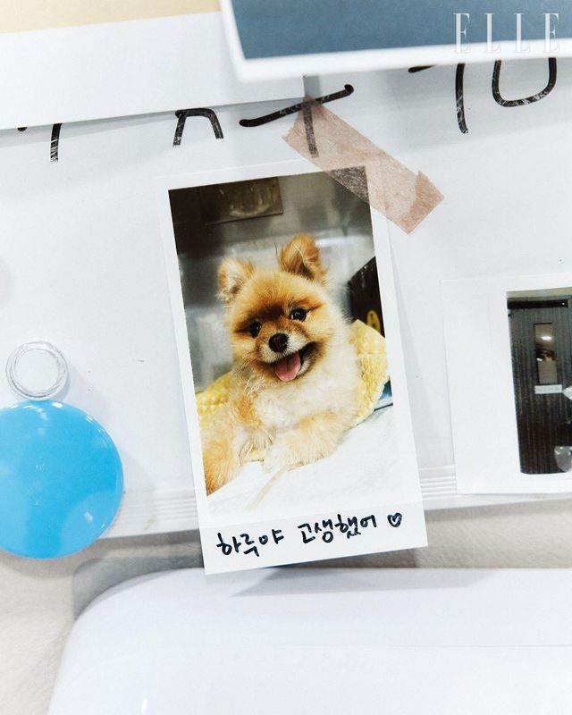 애정이 담긴 진료 기록. 