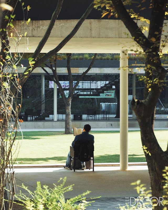 자유롭게 이동 가능한 의자를 둠으로써 만인의 라운지로 거듭난 오목공원. 