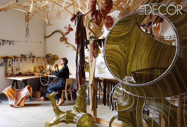 해양 생태 실험실 같은 V&A 박물관 해조류학과 스튜디오.