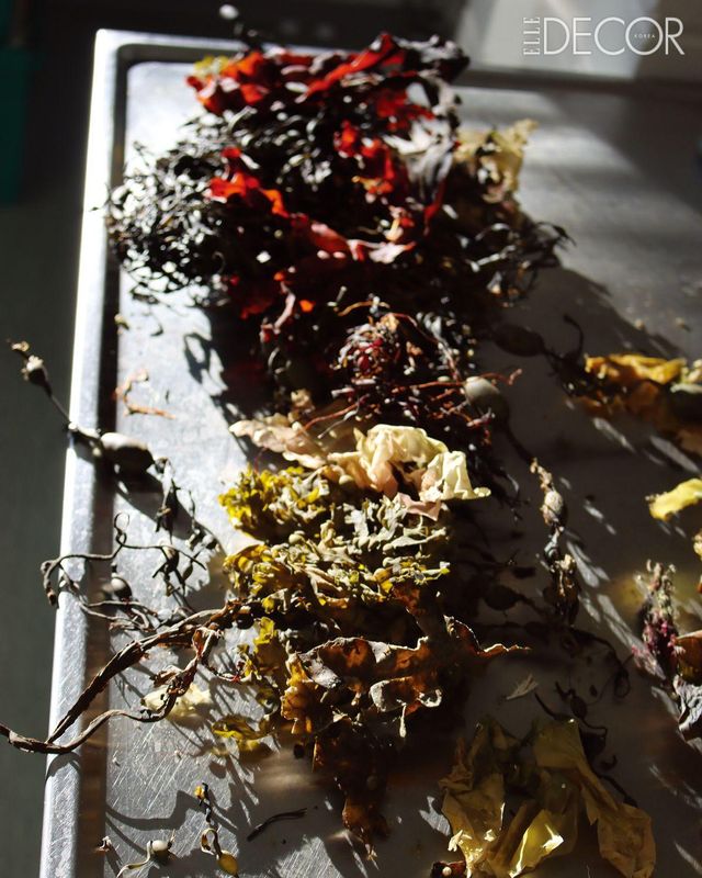 겉보기엔 가죽같지만 다양한 해조류를 말려 제작한 마스크와 날개 그리고 깃 ‘Kelp Collar Lit’. 독특한 형태로 호기심을 자극한다. 