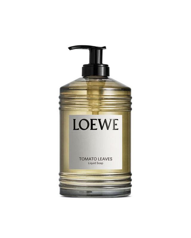 토마토 리프 리퀴드 솝, 10만9천원, Loewe.
