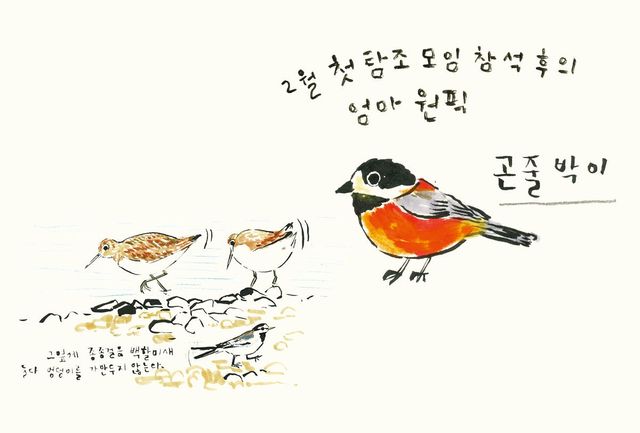 일러스트 윤예지