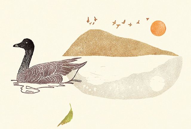 일러스트 배현정