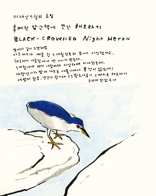 일러스트 윤예지