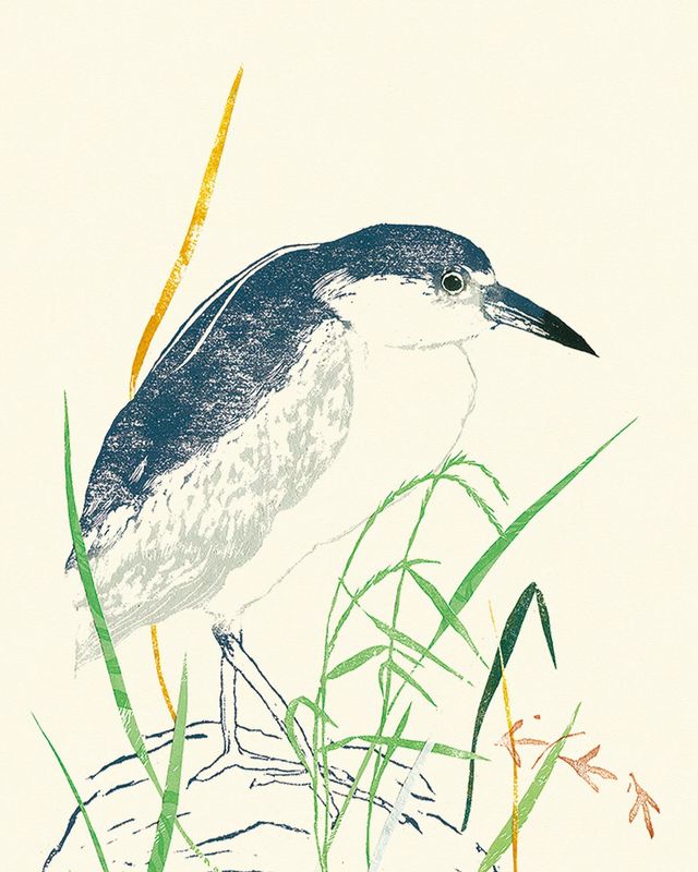 일러스트 배현정