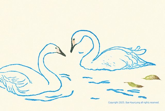 일러스트 배현정