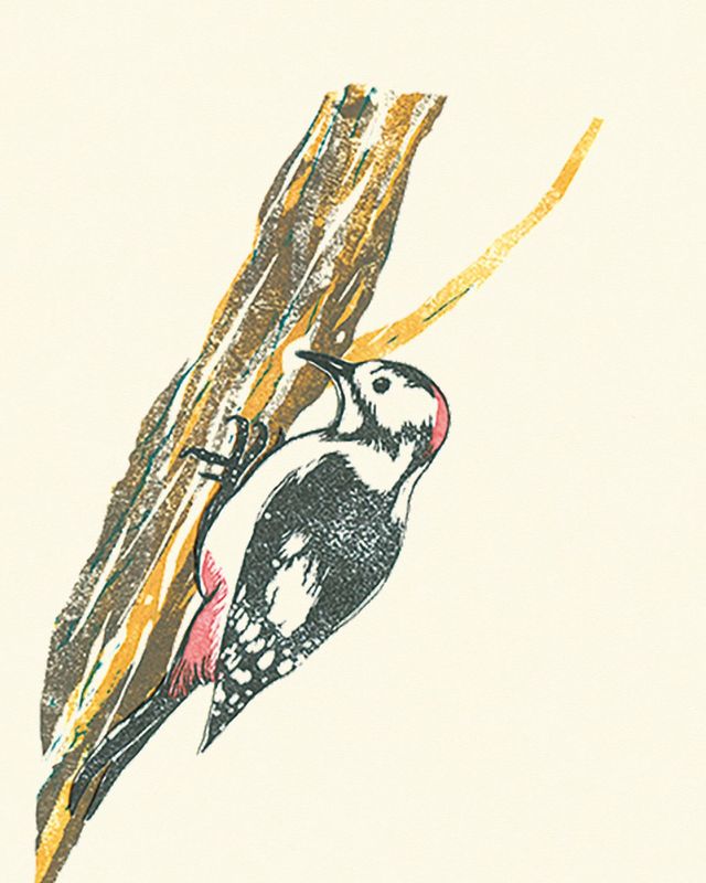 일러스트 배현정