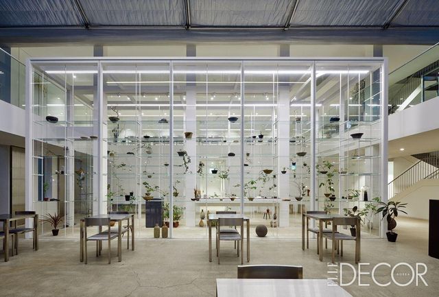 건축의 공간감, 식물과 사람의 관계를 고려해 유리, 무채색, 스테인리스로 구성한 ‘식물관 ph’ 내부 유리 온실.