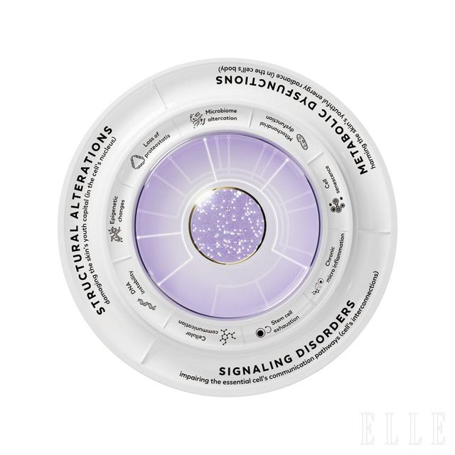 로레알의 롱제비티 휠 지표. 