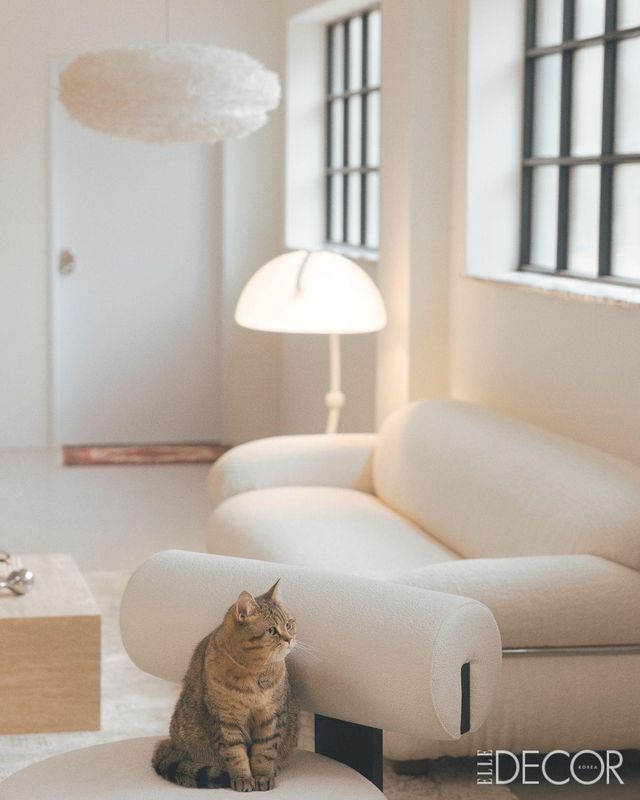 ‘세잔(Sesann)’ 소파는 타키니(Tacchini), 뒤편의 ‘세르펜테 플로어 램프(Serpente Floor Lamp)’는 마르티넬리 루체(Martinelli Luce), 천장의 ‘이오스(EOS)’ 조명은 우메이(Umage).