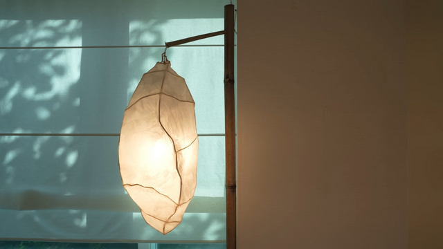 YouTube @officialdawn