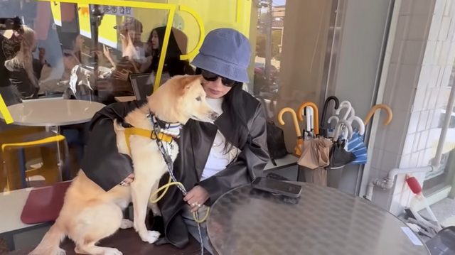 유튜브 'Umaizing 엄정화TV'