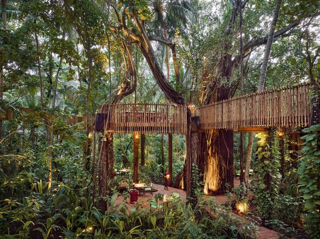 열대우림에서 식사를 즐길 수 있는 ‘네스트’.