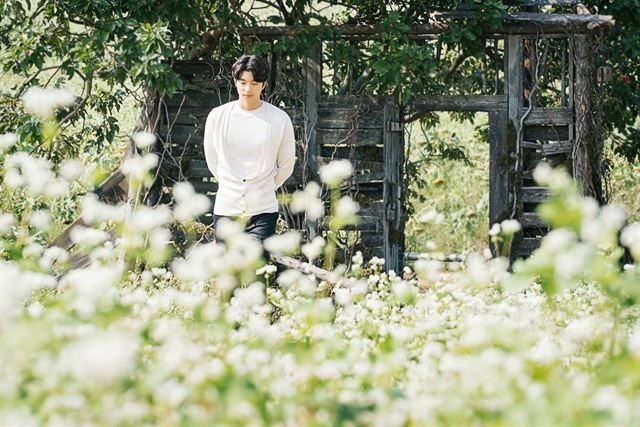 tvN 〈도깨비〉 스틸컷 