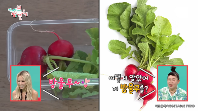 방송에서 다이어트 비결 공개하는 다영 