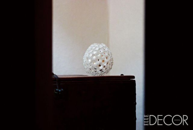 ‘Dandelion drop’(2020).