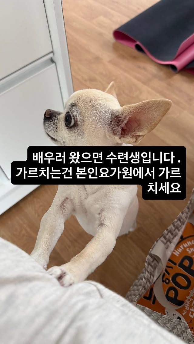 이효리가 인스타그램 스토리로 전한 심경 