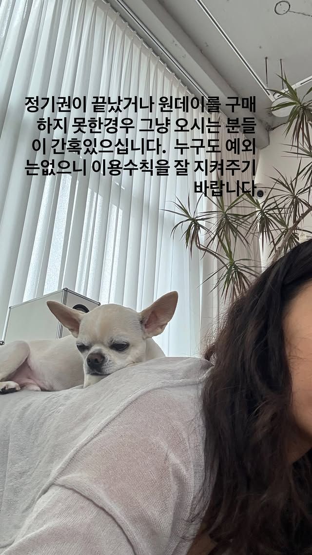 이효리가 인스타그램 스토리로 전한 심경 