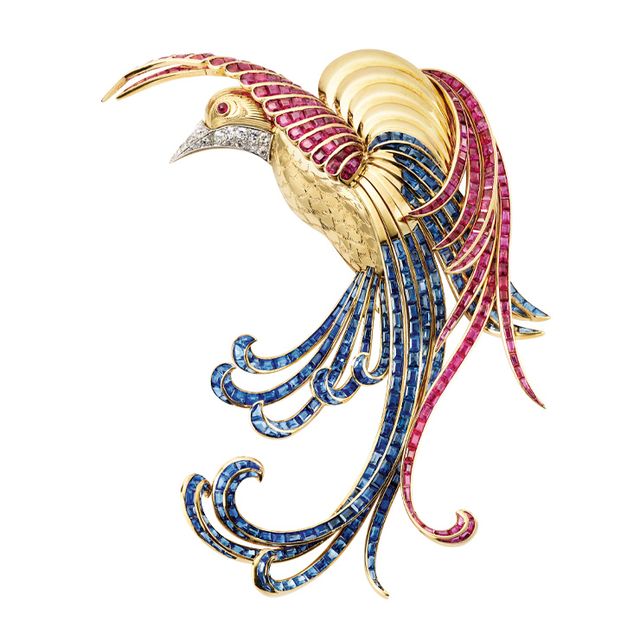 버드 오브 파라다이스(Bird of Paradise) 클립, 1942년, 옐로 골드·플래티넘·루비·사파이어· 다이아몬드, 반클리프 아펠(Van Cleef amp; Arpels) 컬렉션