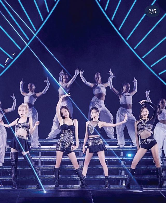  월드투어 공연을 위해 디온리(Dion Lee)와 협업한 코스튬 피스.