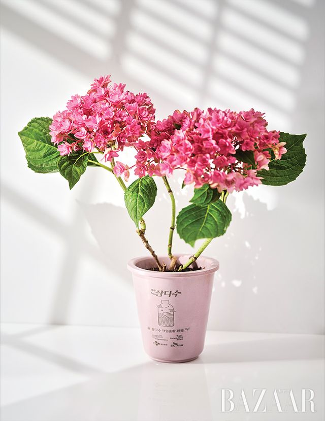 페트병을 재활용해 완성한 ‘착한 순환 화분’.