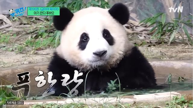 사진 / 유튜브 tvN