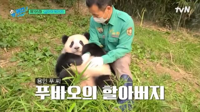 사진 / 유튜브 tvN