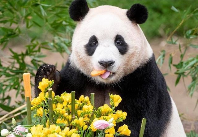 사진 / 에버랜드