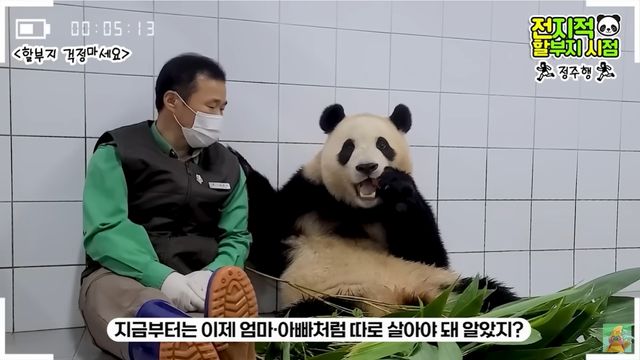 사진 / 유튜브 말하는동물원 뿌빠TV