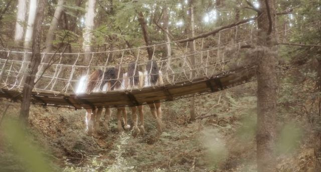 사진 / HYBE LABELS 유튜브