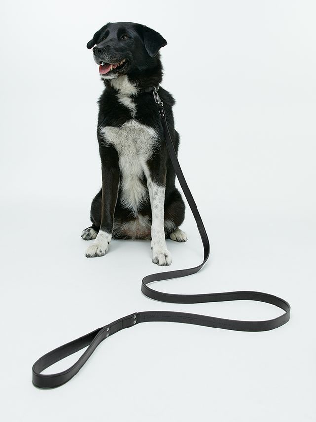 사진/ 아르켓 제공