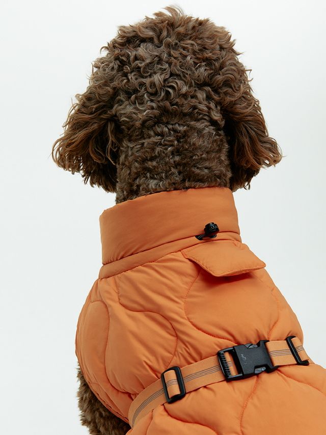 사진/ 아르켓 제공