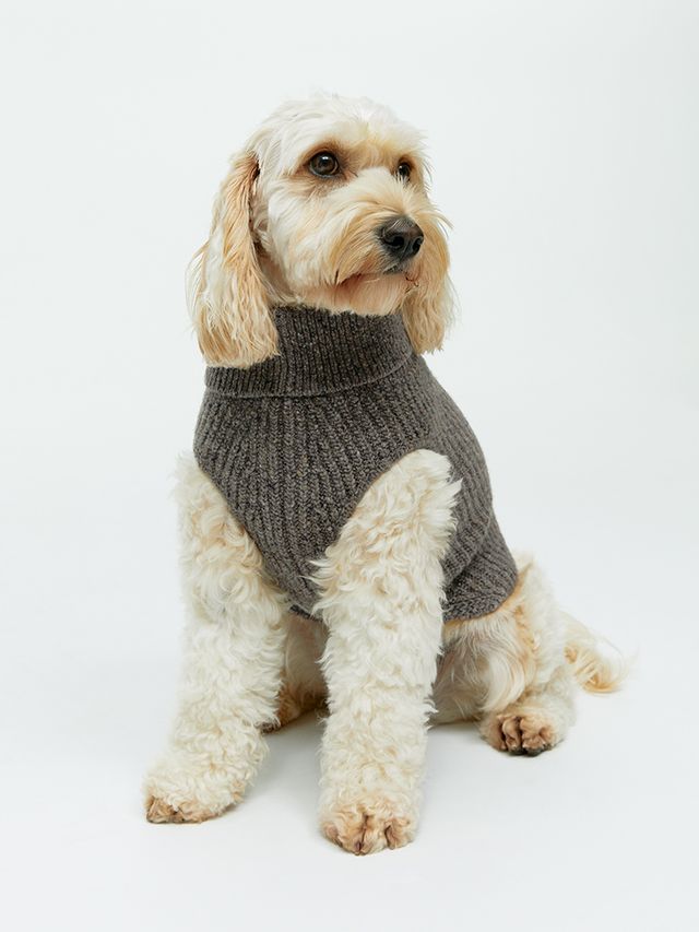 사진/ 아르켓 제공