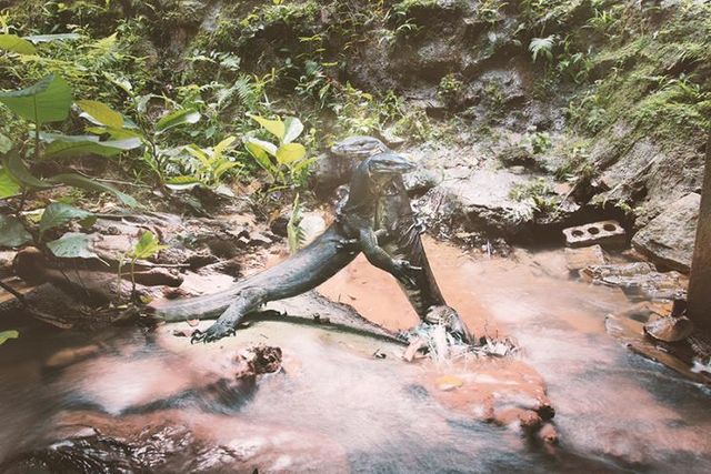 로버트 자오 런휘, 〈강을 기억하고자 함〉, 2023. Courtesy of the Artist and ShangArt Gallery, Beijing, 광주비엔날레 제공